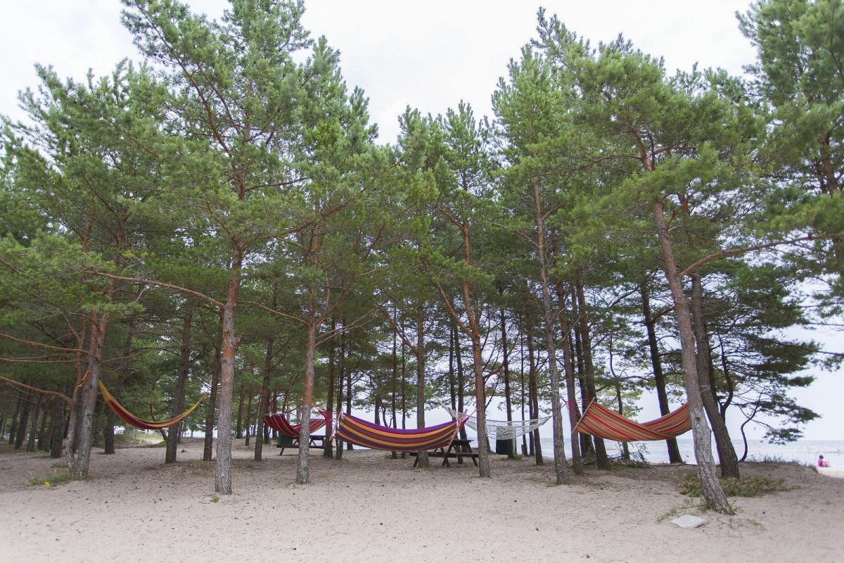 Пляжный бар Manjaana в кемпинге Мяндъяла на Сааремаа