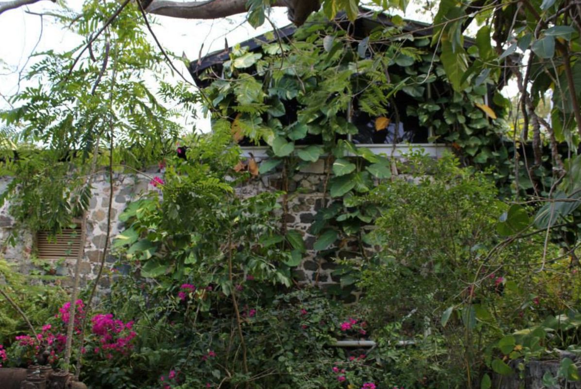 Плантация Джосиа Бэй