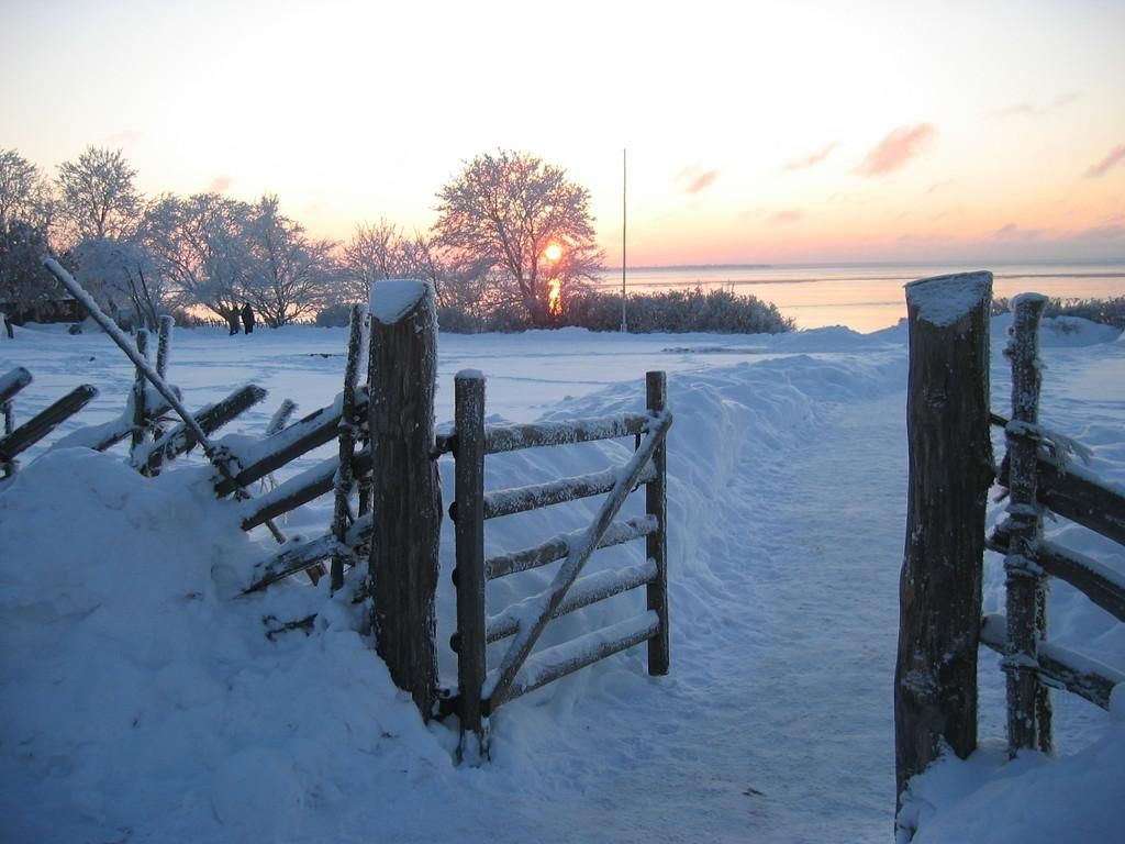 Mузей под открытым небом в Виймси