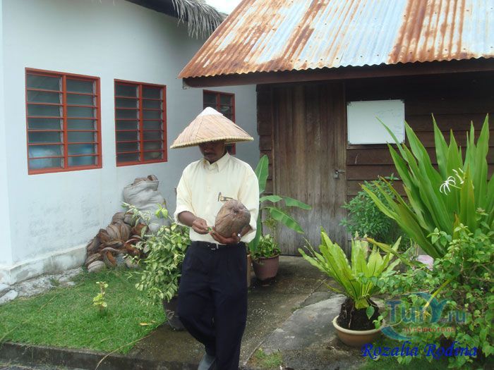 Музей риса Ламан Пади