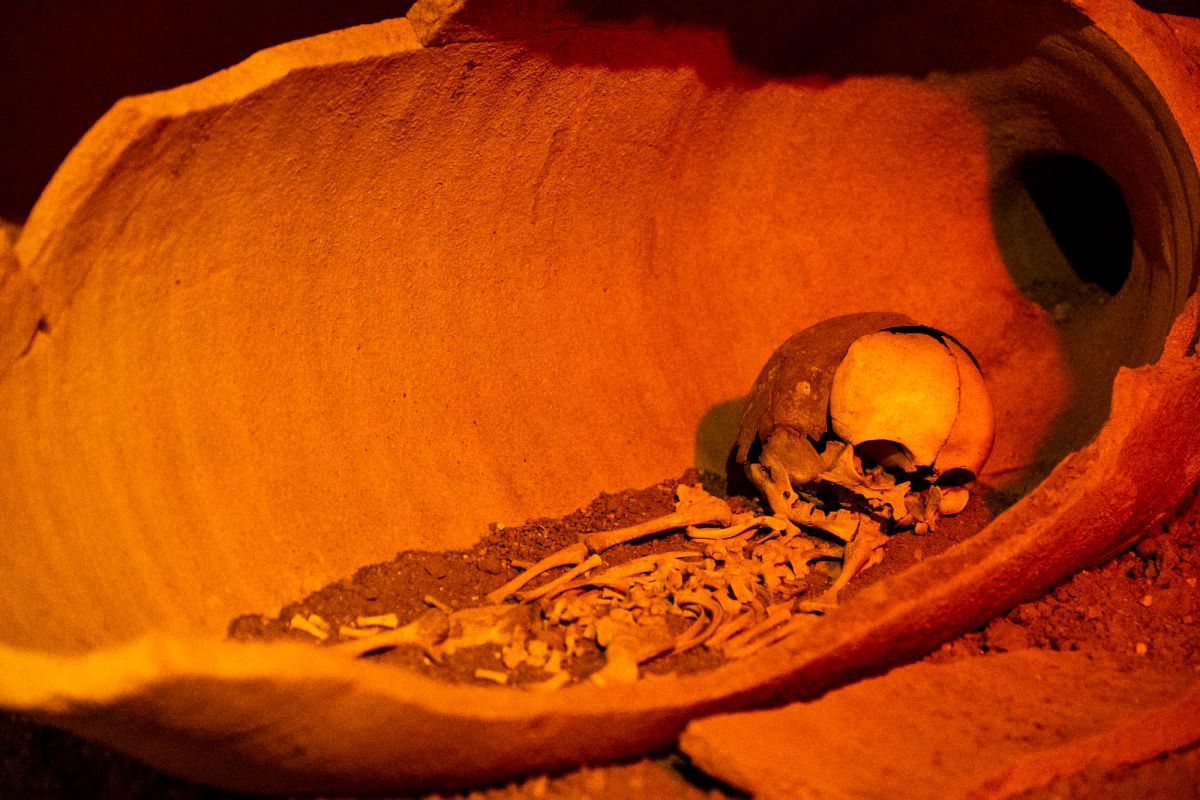 Музей доисторической эпохи Валенсии