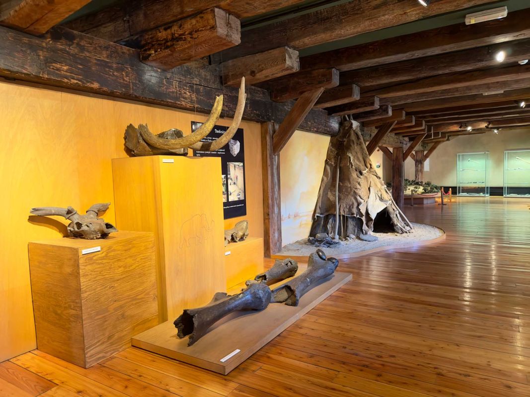 Вроцлавский археологический музей