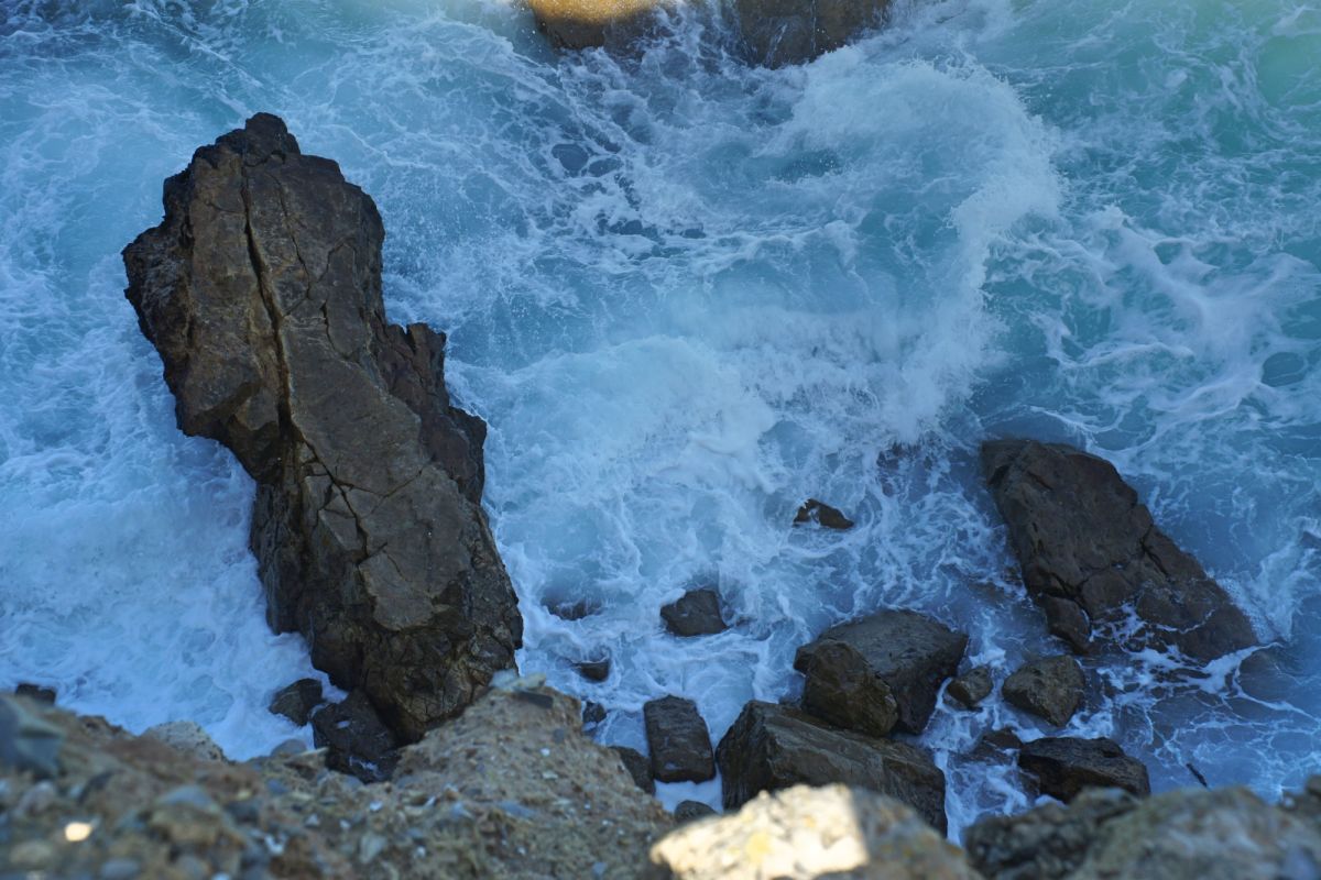 Камперван Дэй Парк