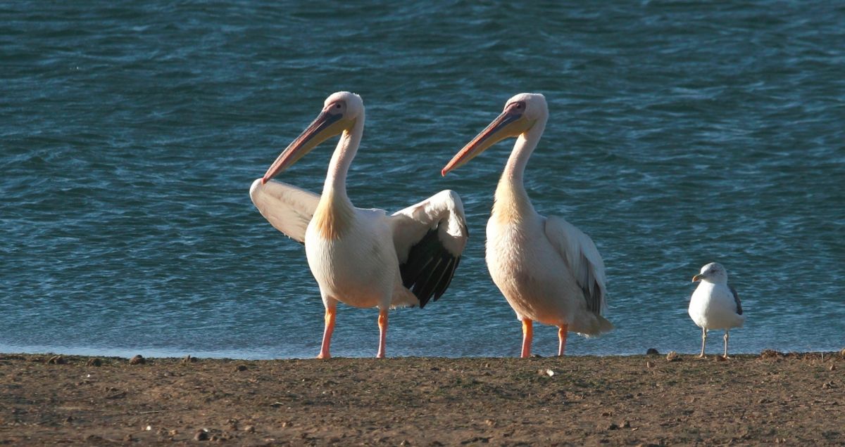 Национальный парк Банк-д'Арген