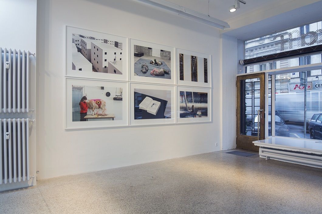 Fotograf Gallery