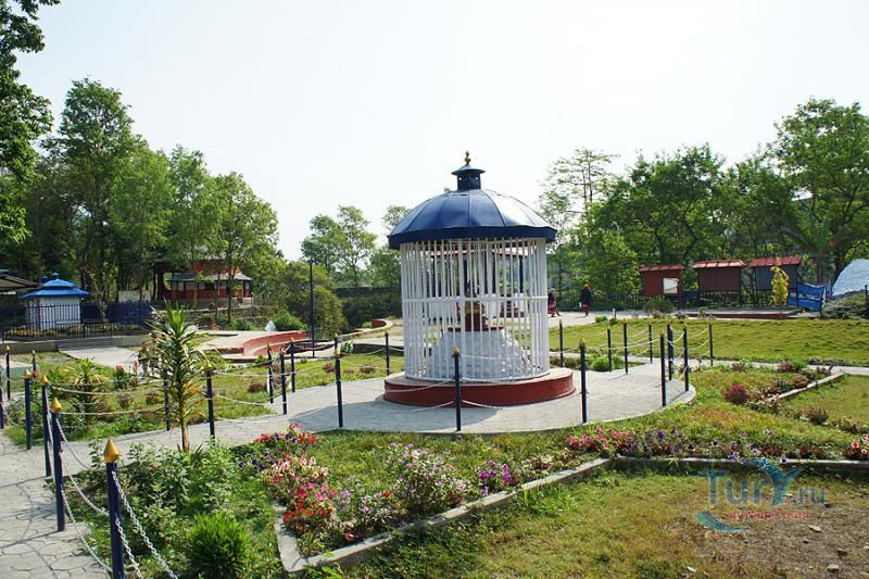 Девид Фоллс (Патале Чханго)