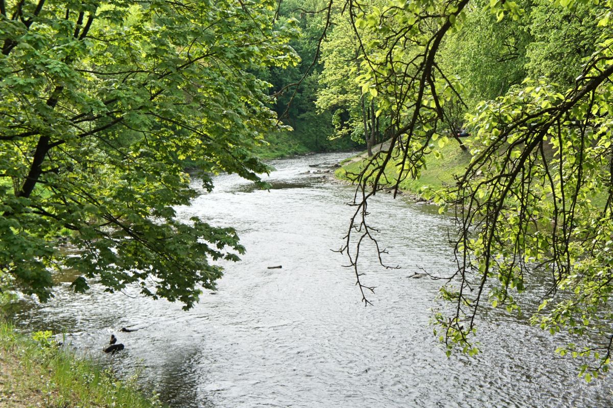 Река Вильня