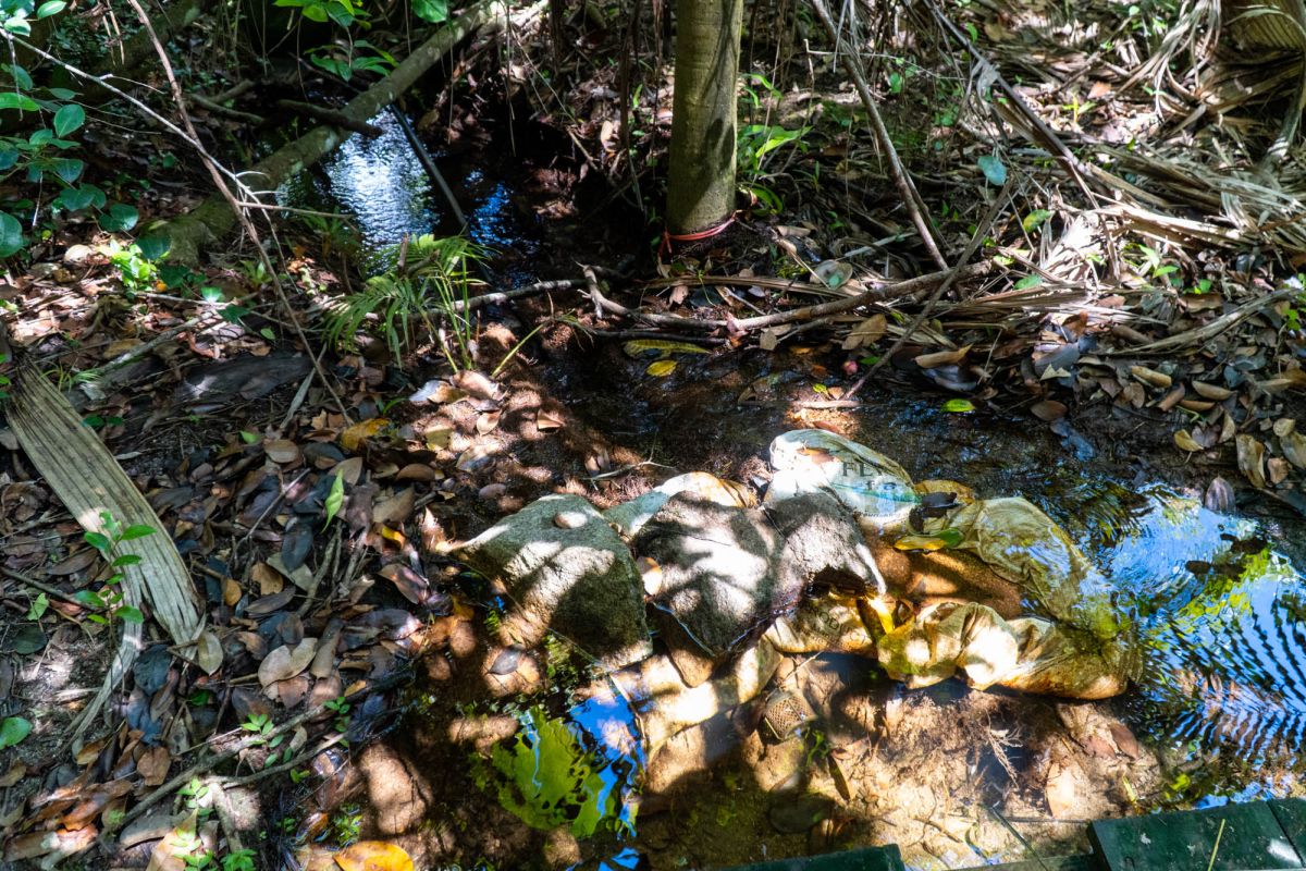 Гласис Ла Резерв Трейл