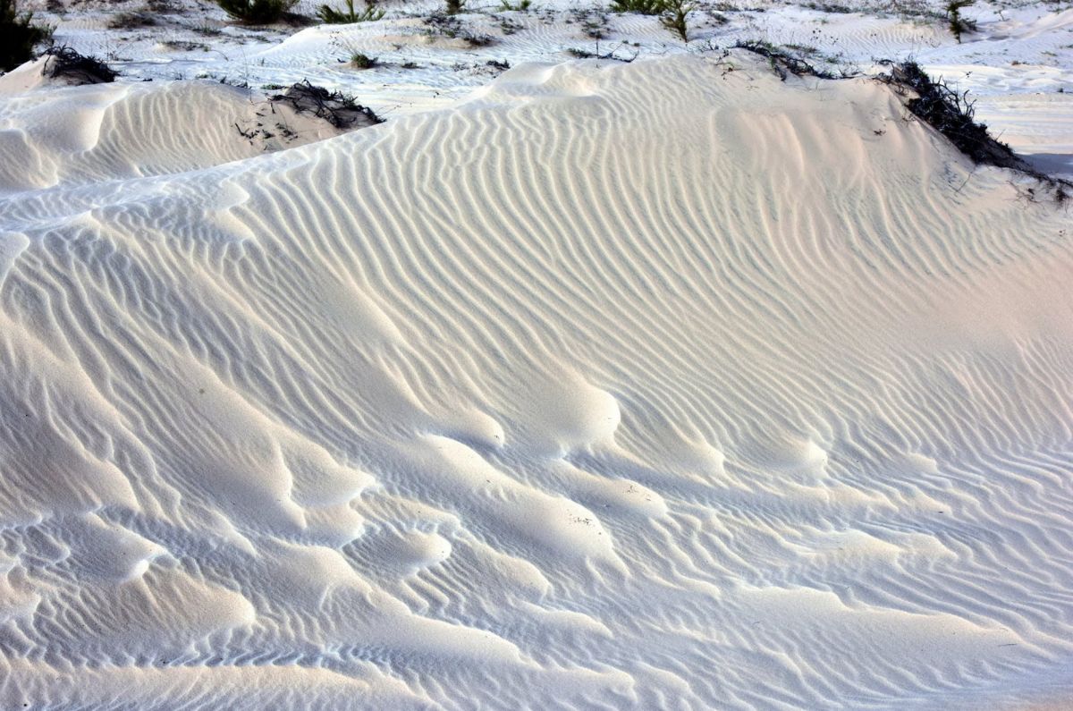 Белые дюны Муйне