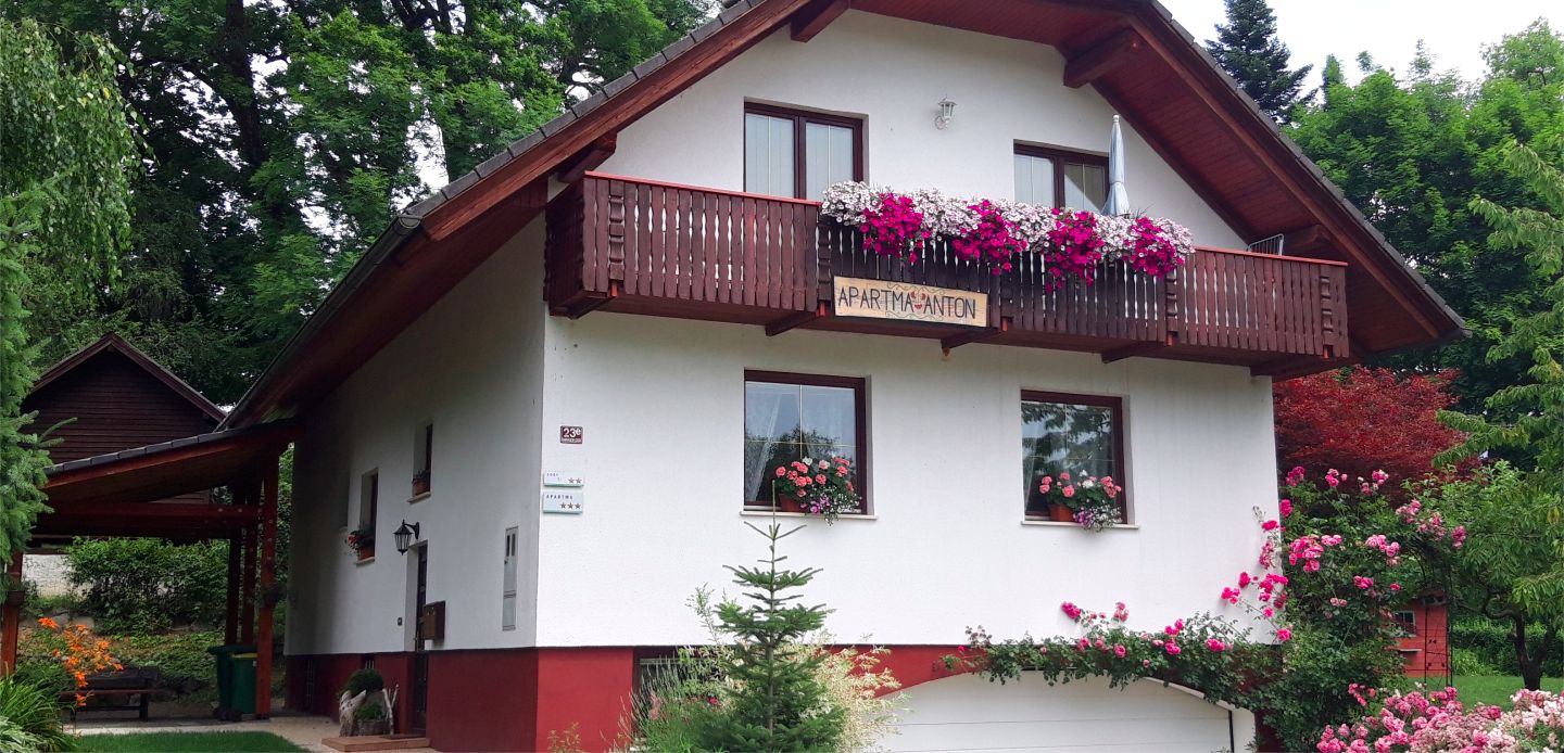 Apartment Anton