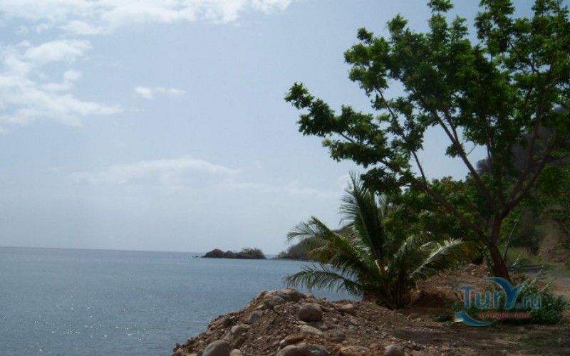 Скала Родни