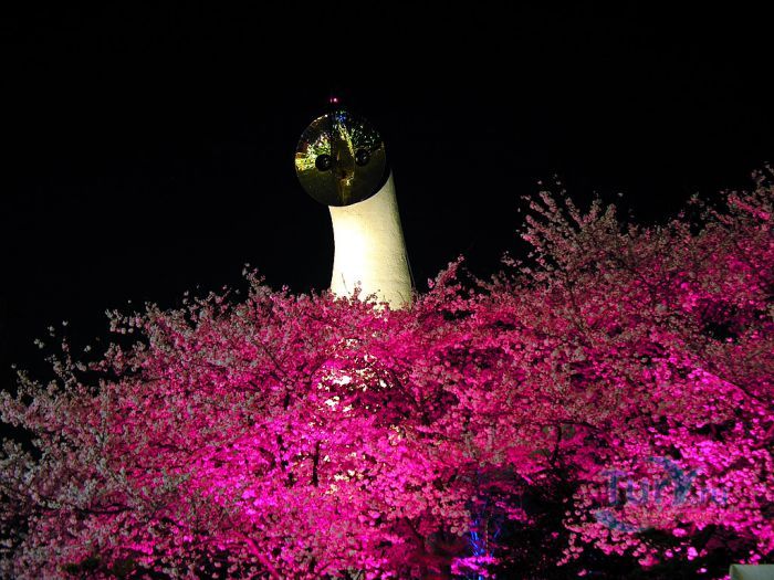 Выставочный центр Экспо 70