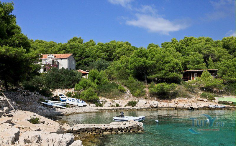 Залив Лучица