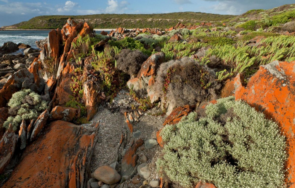 Заповедник Кейп Гантеом