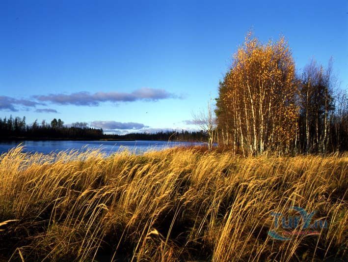 Водлозёрский национальный парк