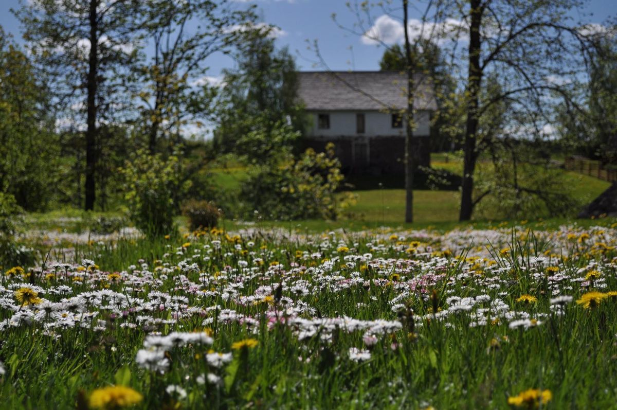 Пылваский крестьянский музей