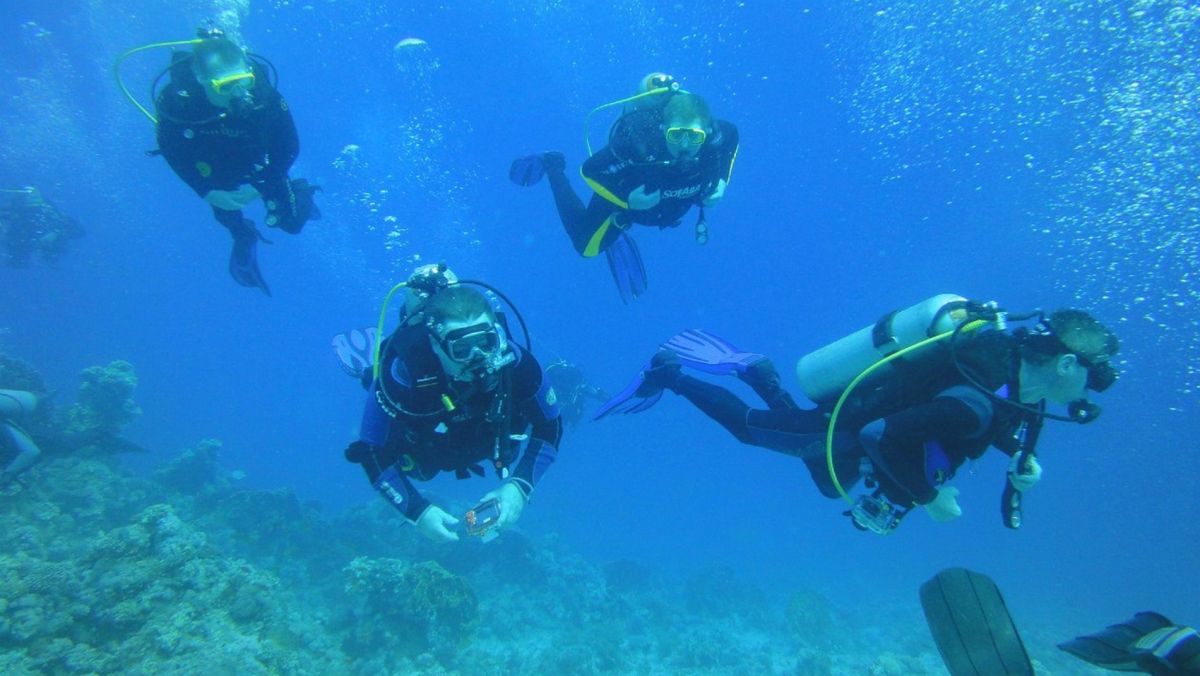 Дайвинг-клуб Морской Кот