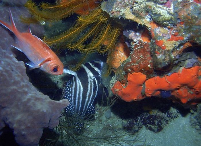 Поинт Брейк и Пещера Рина (Point Break and Rina's Hole)