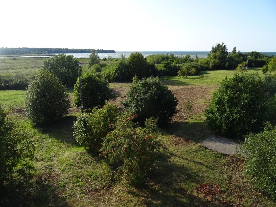 Смотровые вышки для наблюдения за птицами в Пальяссаареской заповедной зоне