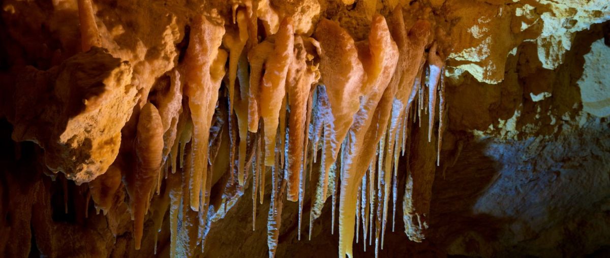 Заповедник Келли Хилл