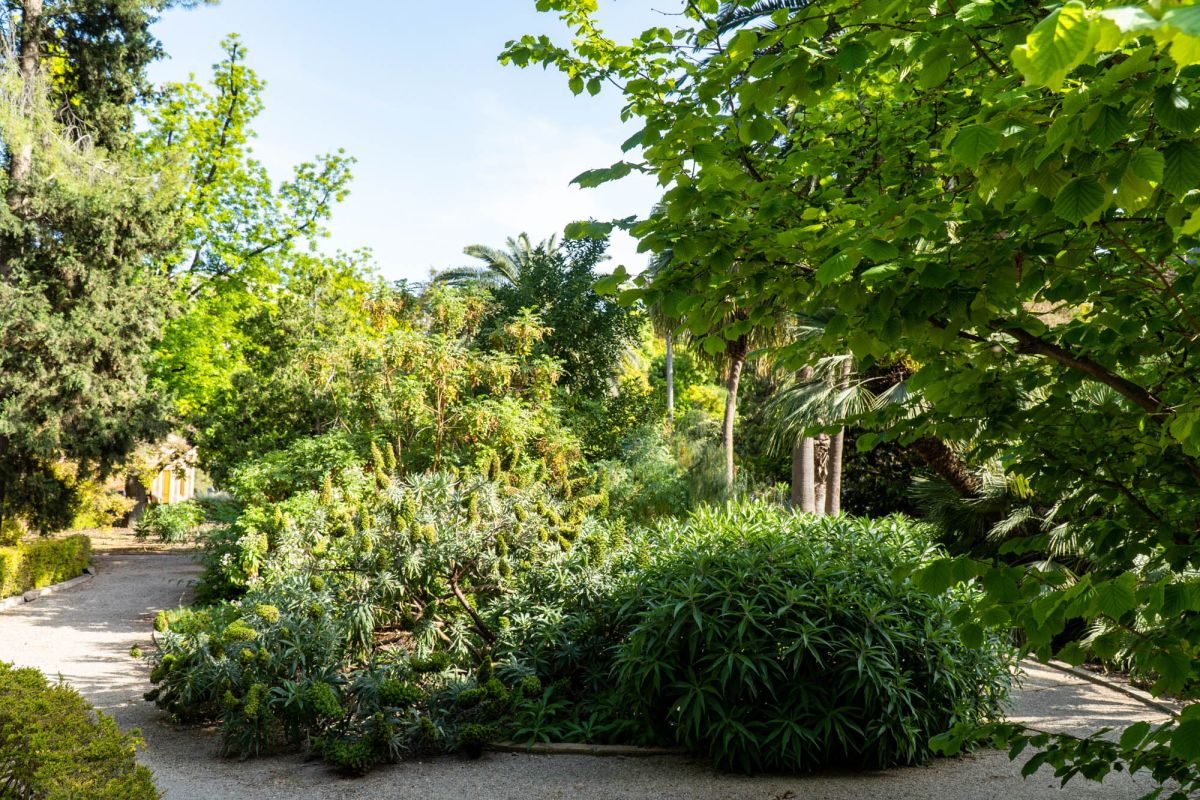 Ботанический сад Валенсии