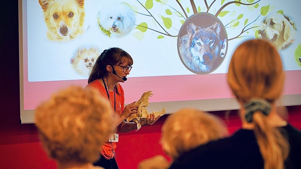 Музей естественной истории