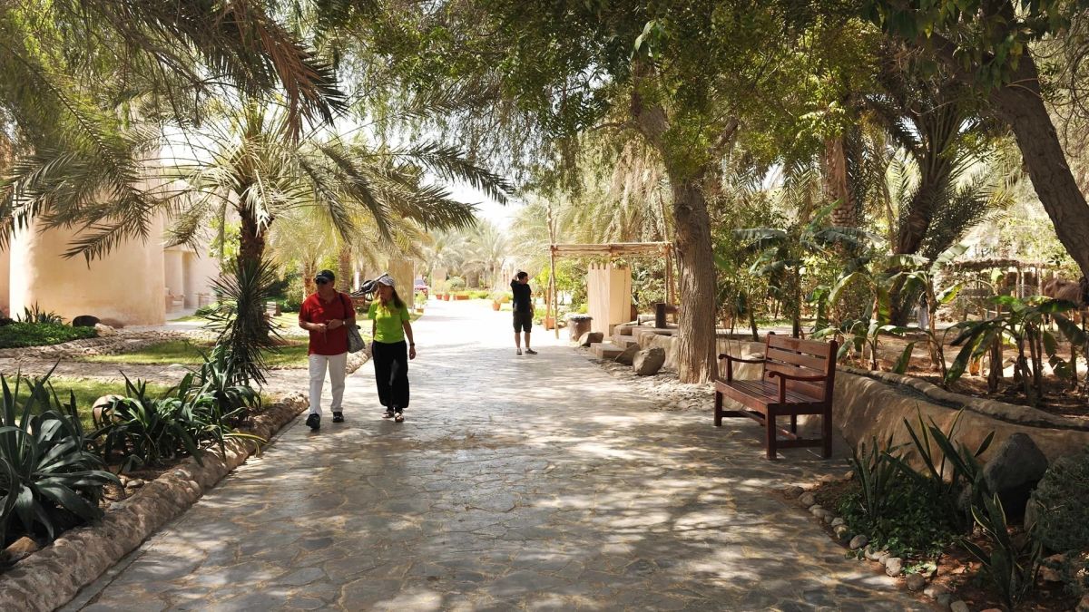 Деревня наследия и культуры Аль-Айна