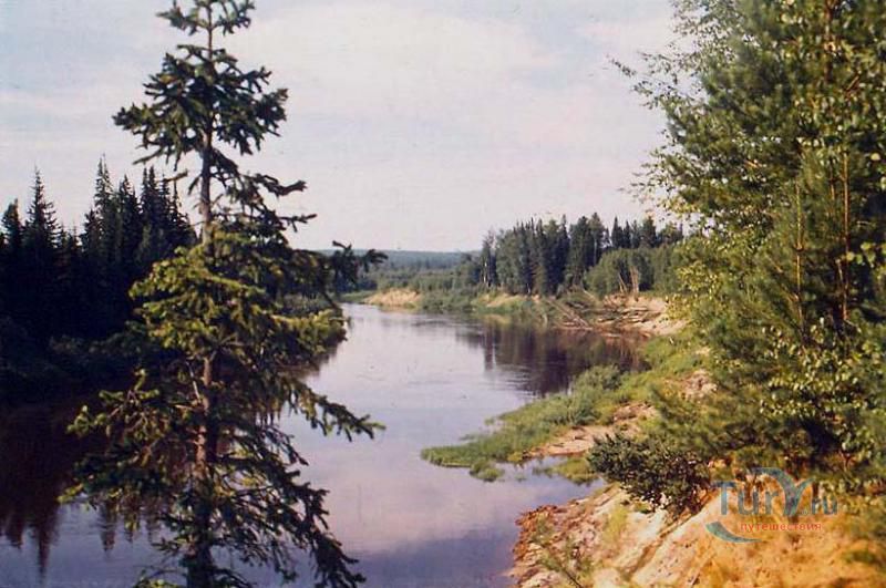 Заповедник Малая Сосьва