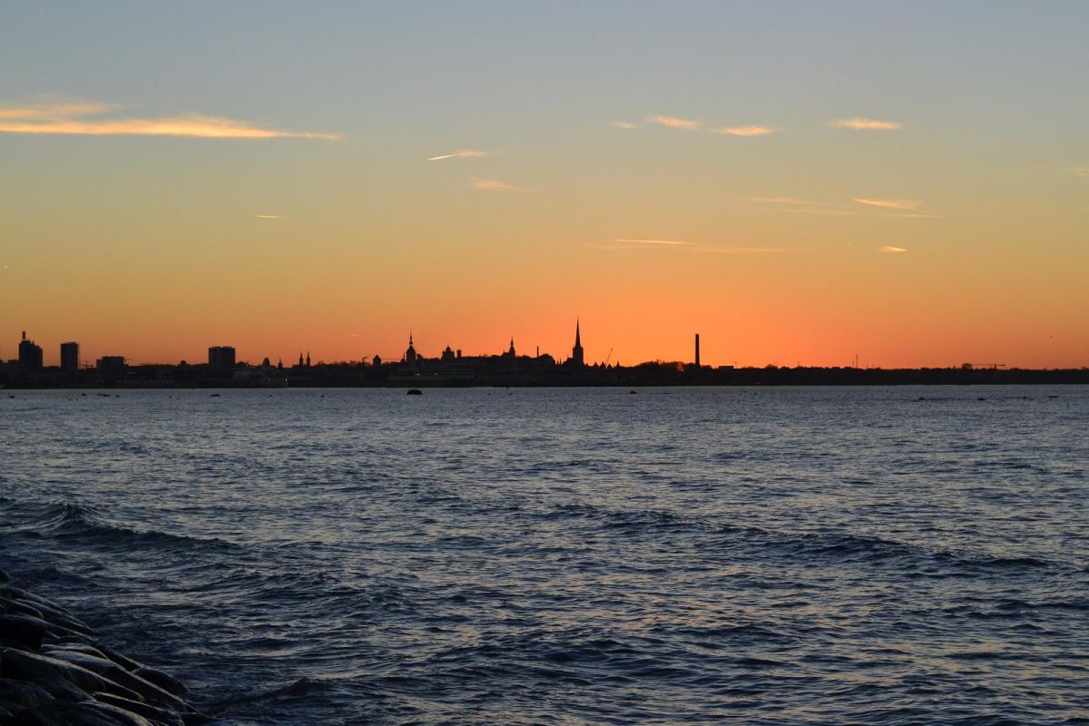 Ресторан Regatta