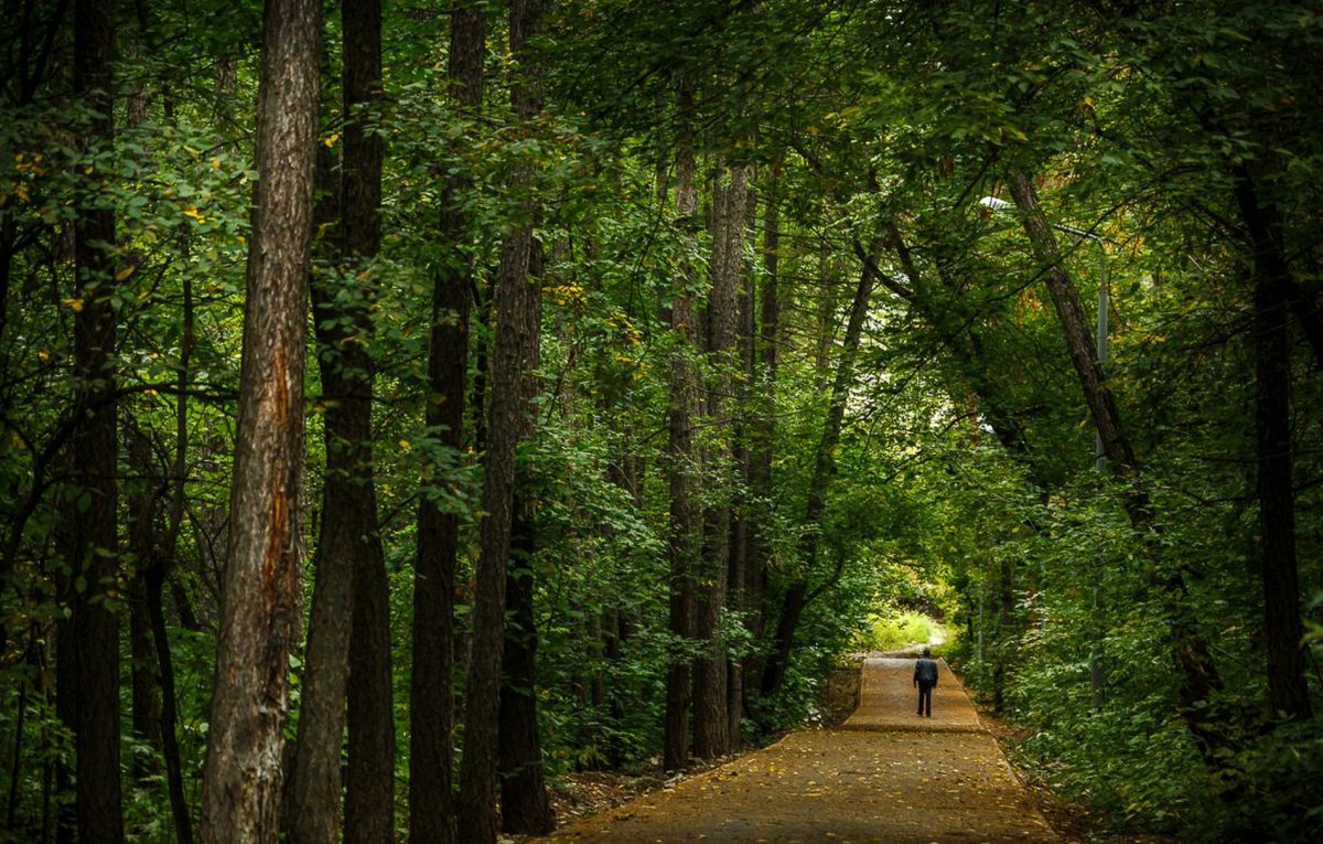 Непе́йцевский дендропарк