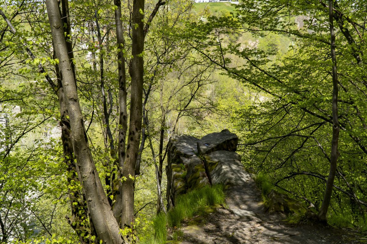 Пешеходный маршрут по южной стороне Тетерева