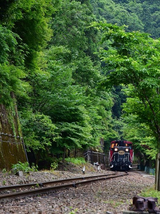 Романтический поезд Сагано