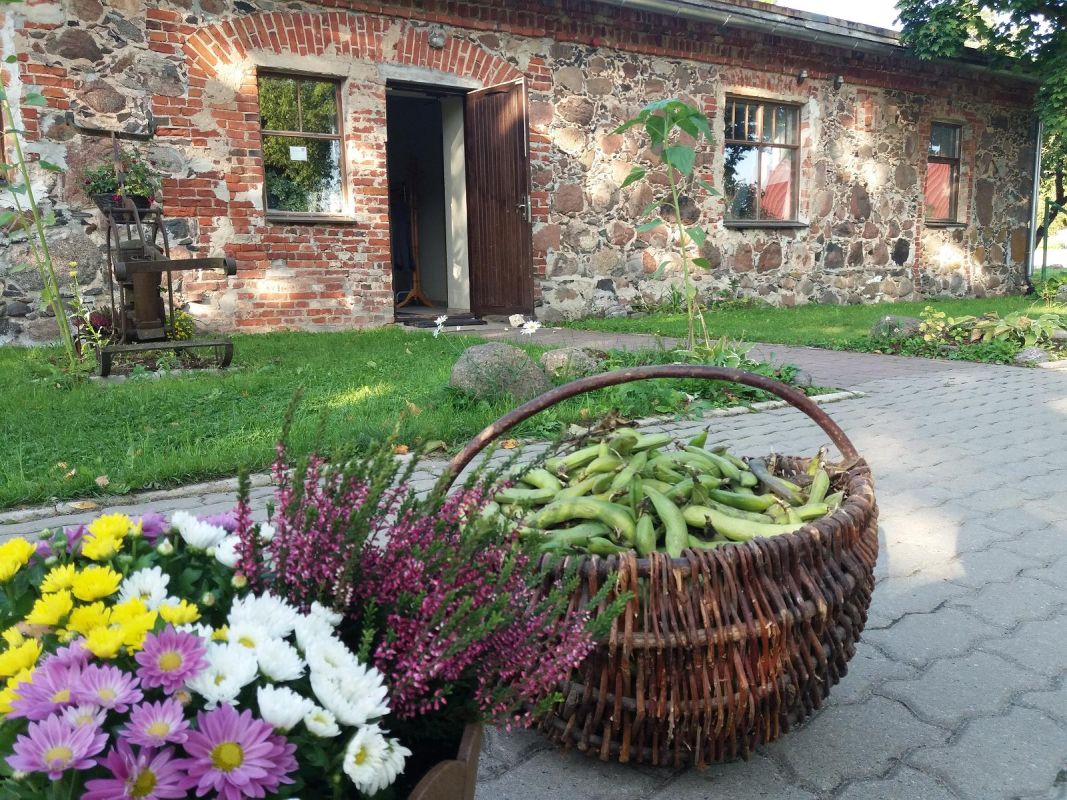 Музей Сельяметса