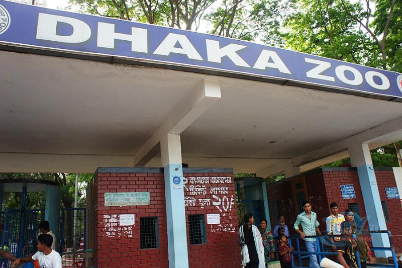 Зоопарк Дакки