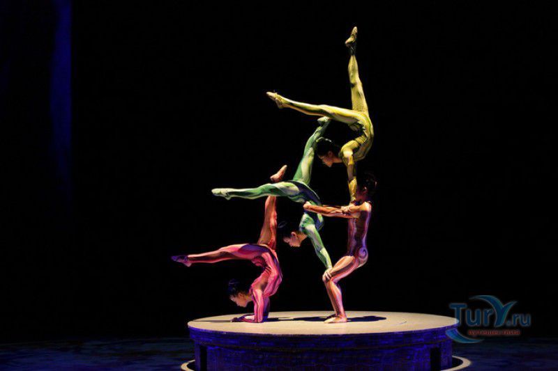 Всемирный Шанхайский Цирк