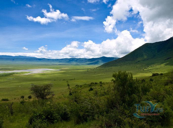 Заповедник Нгоронгоро