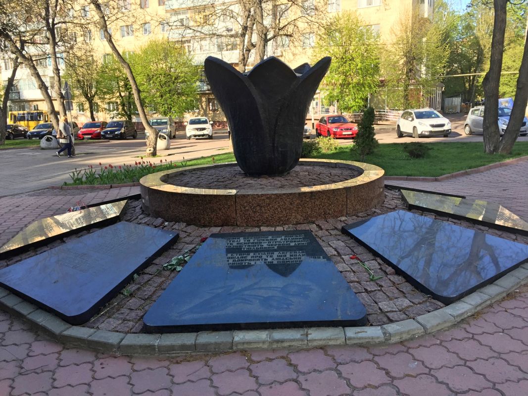 Черный Тюльпан