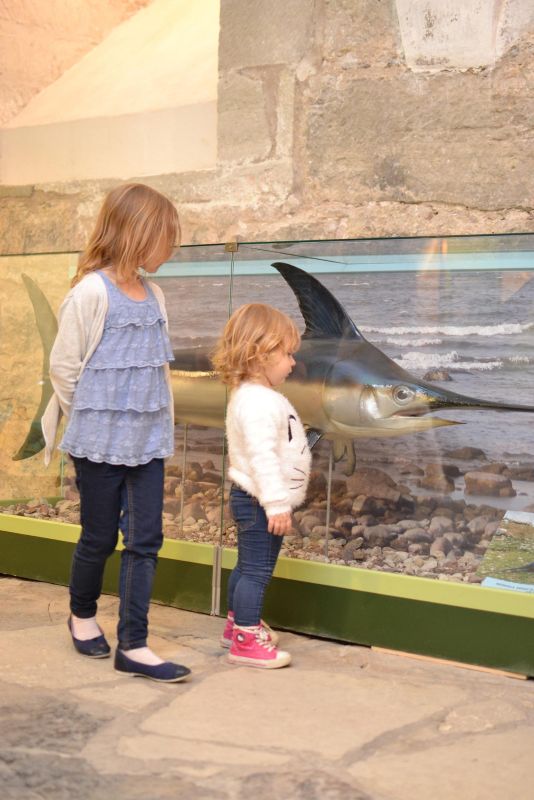 Музей Сааремаа