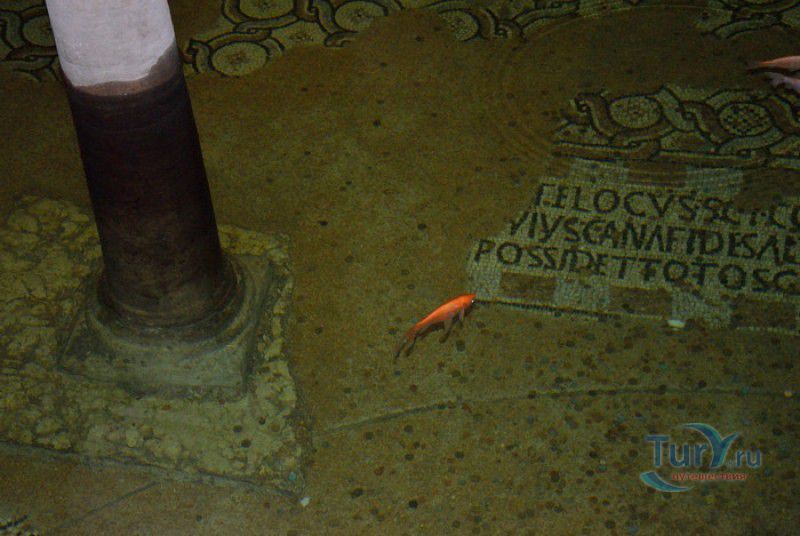 Базилика Святого Франциска