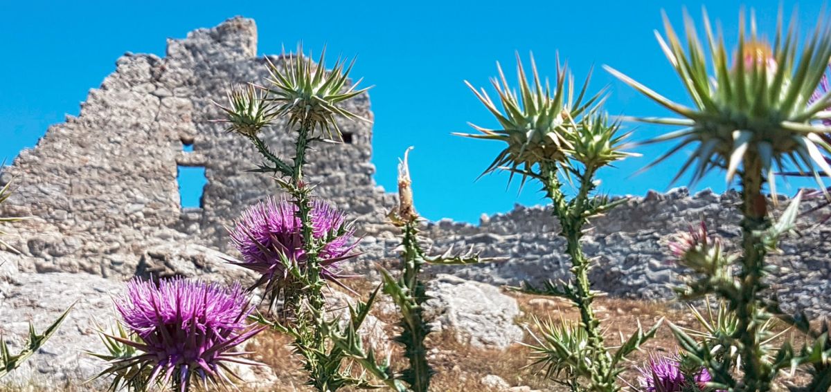 Замок Асклипио