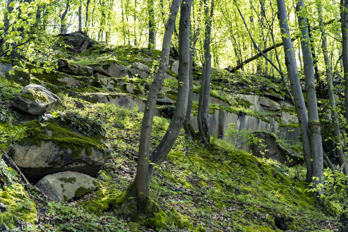 Пешеходный маршрут по южной стороне Тетерева