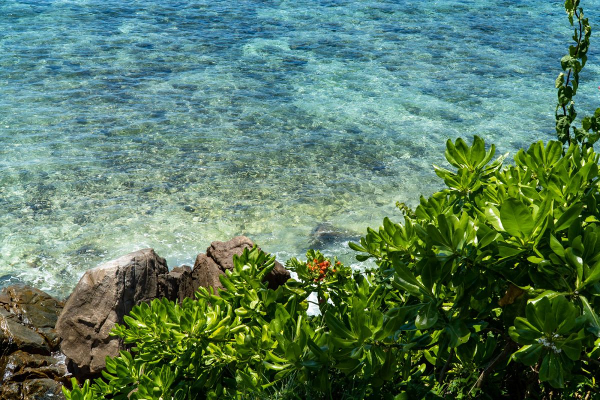 Лагуна Порт-Глод