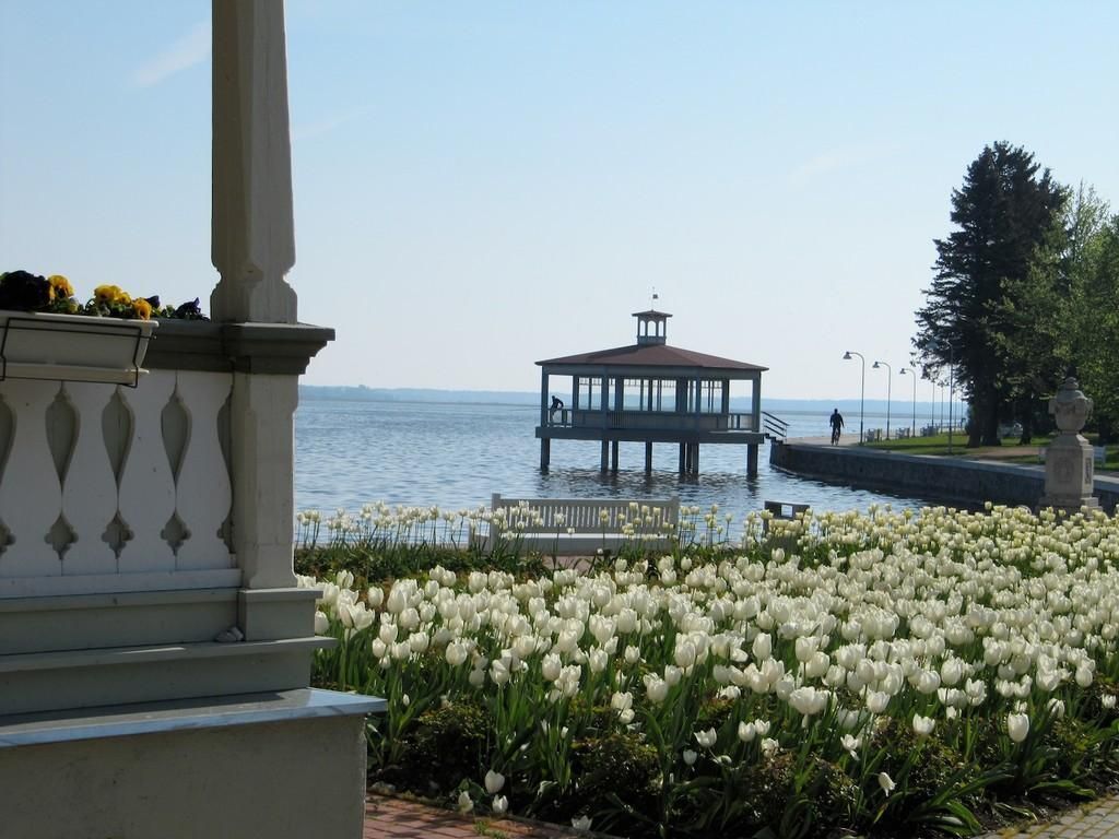 Летний ресторан Курзала в Хаапсалу