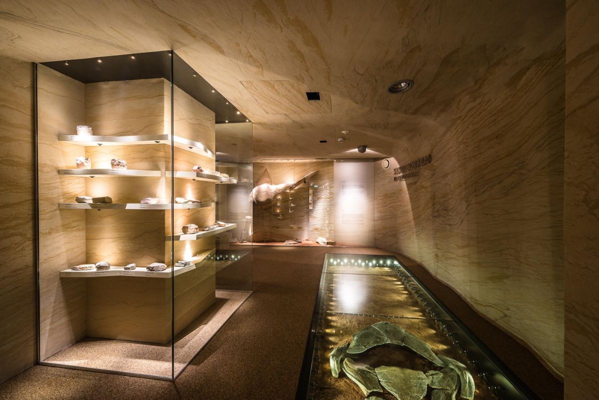 Музей естественной истории Тартуского университета