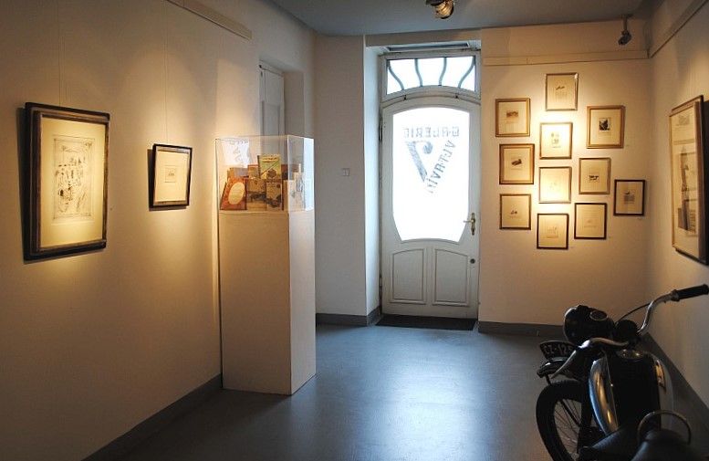 Галерея Vltavín