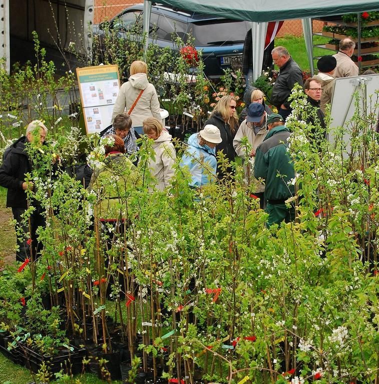 Ярмарка цветов в Тюри