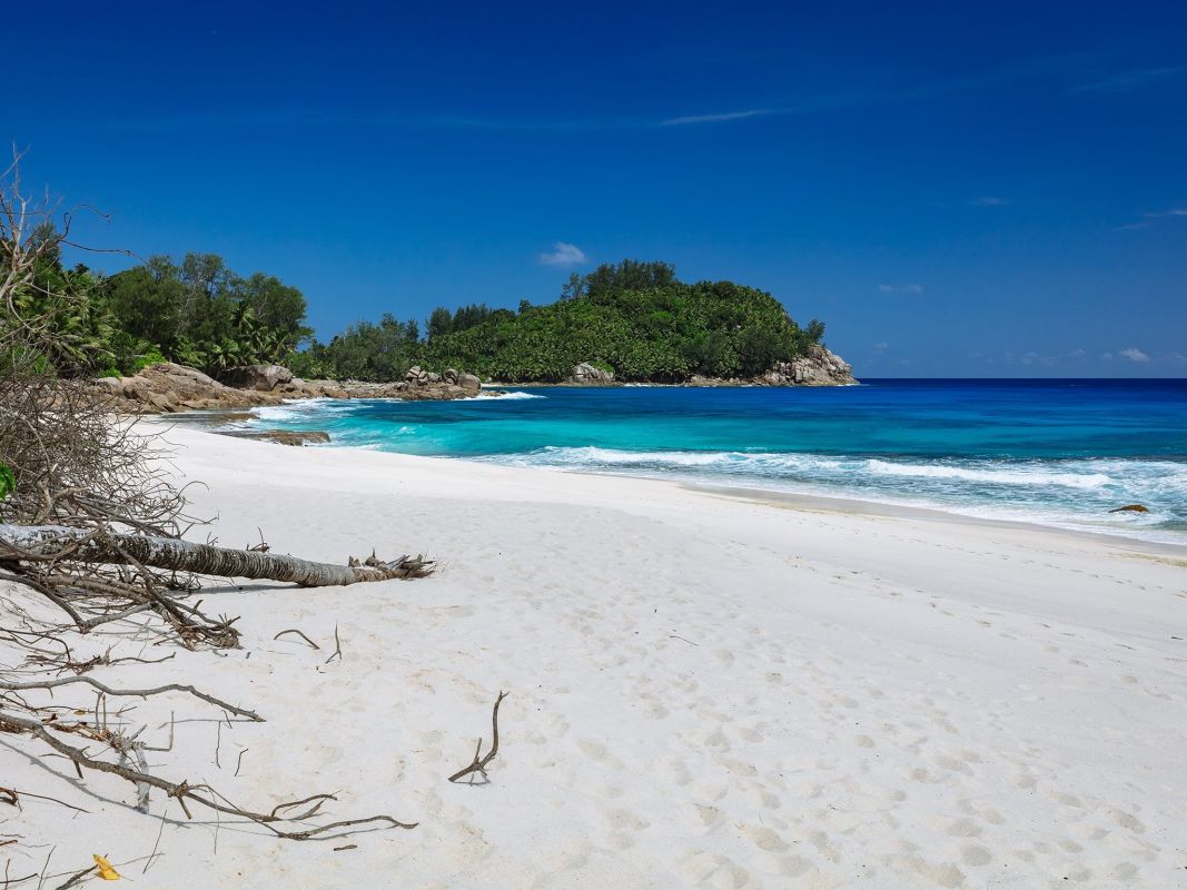 Анс Базарка