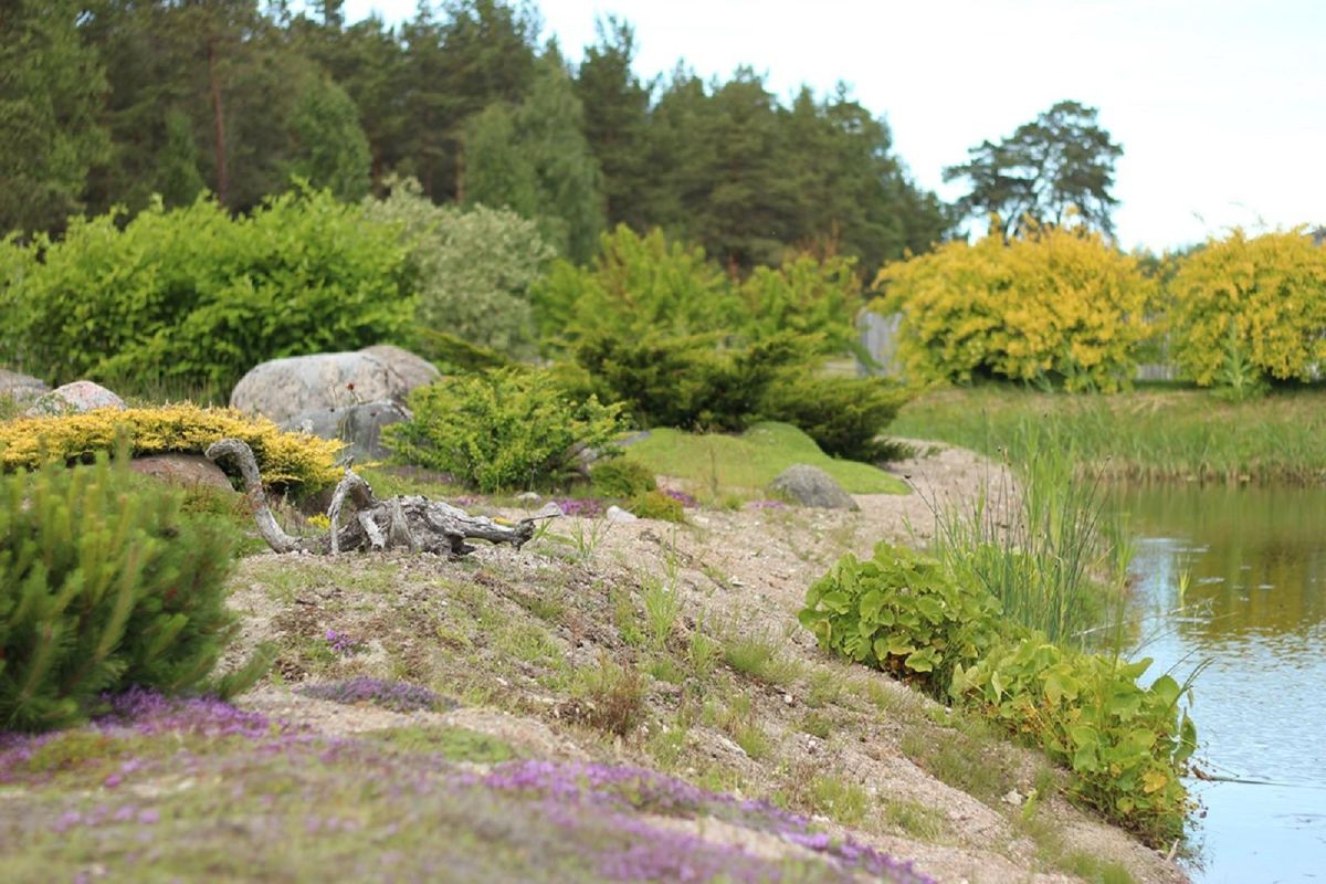 Выставочный и ландшафтный сад бюро по дизайну садов R&AR