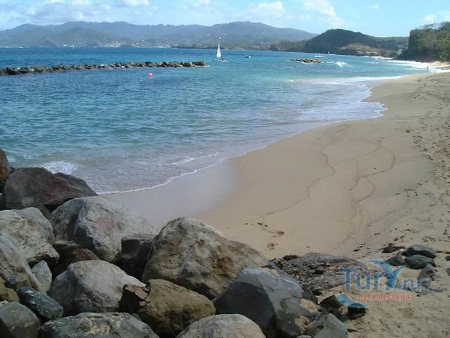 Пинк Джин Бич