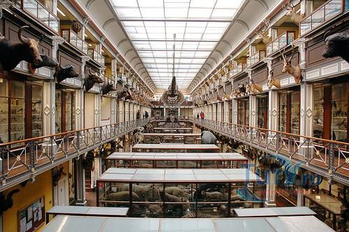 Музей Истории Естествознания